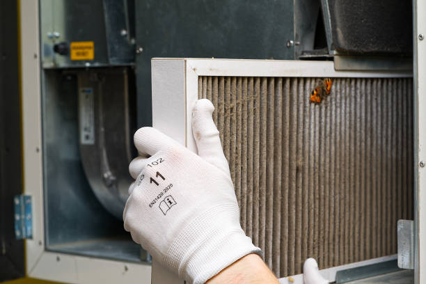 Best Air Duct Cleaning Near Me  in Valrico, FL