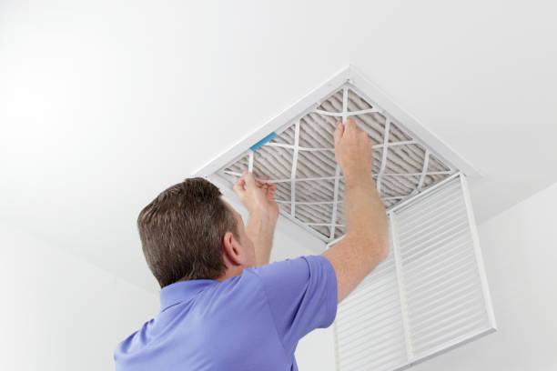 Best Ductwork Cleaning Services  in Valrico, FL